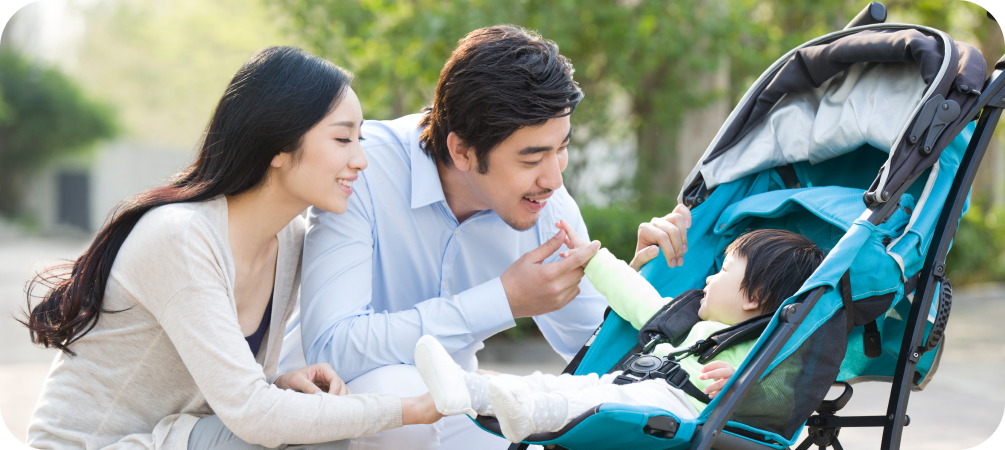 Stroller or wheelchair rental