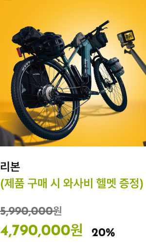 세파스 slide03