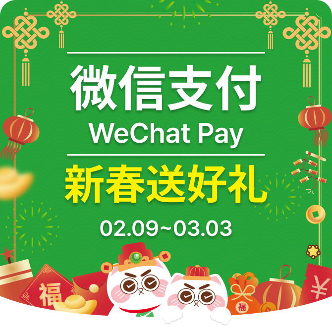 WeChat Pay Popup